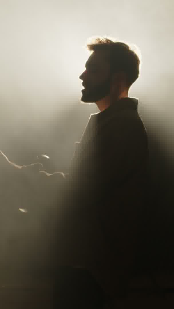 Illustrative portrait of a performer